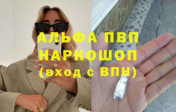 СК Абинск