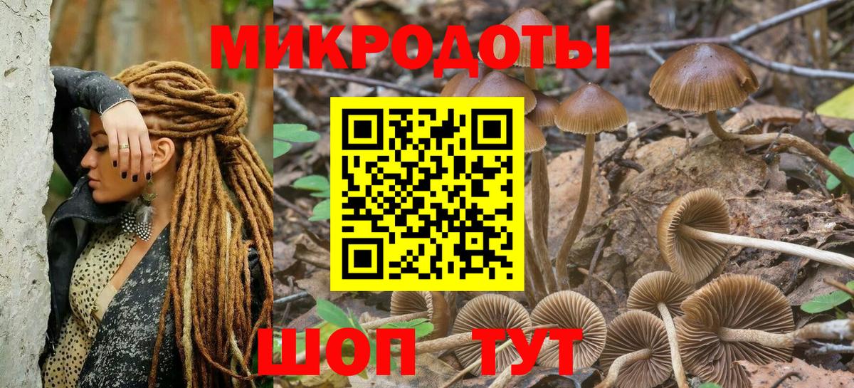 Заводоуковск  МЕФ   Канабис  ГАШ  Вход с VPN  Меф  Купить наркотик 