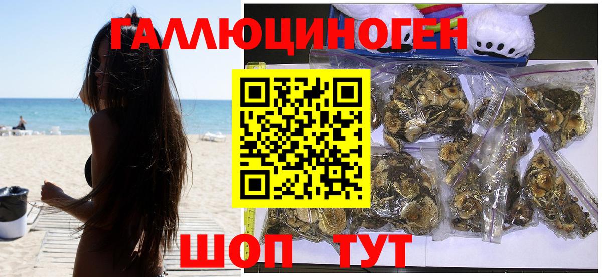 Галлюциногенные грибы мицелий  Вход с VPN  Галлюциногенные грибы GOLDEN TEACHER  Заводоуковск 