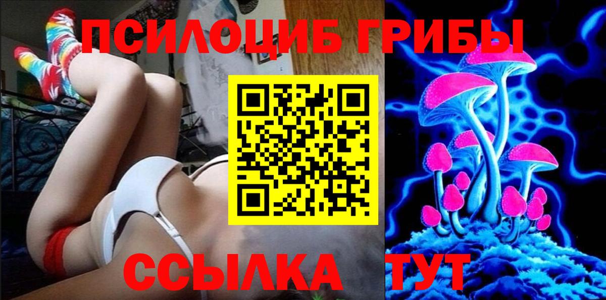 Галлюциногенные грибы Psilocybine cubensis Заводоуковск